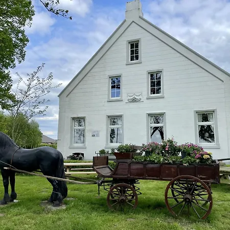 Steinhaus Hof Bunde (Lower Saxony)