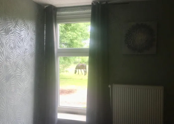 Steinhaus Hof * Bunde (Lower Saxony)