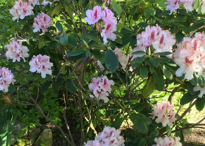 Prázdninový dům Steinhaus Hof *